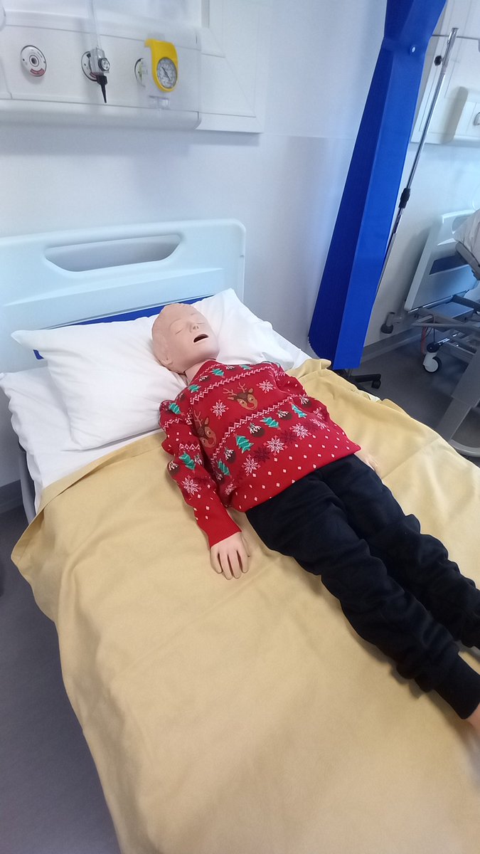 QUB Simulation Centre tweet media