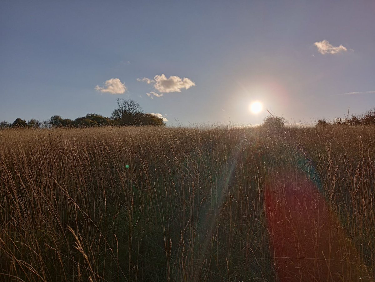Therfield Heath and Greens (@therfieldheath) on Twitter photo The Therfield Heath ranger will be running a volunteer group this Sunday the 3rd of December from 9:30am. We will be transplanting self-seeded trees from Therfield Heath to Sun Hill Common.
If you would like to get involved contact the ranger at ranger@therfieldheath.org.uk. The Therfield Heath ranger will be running a volunteer group this Sunday the 3rd of December from 9:30am. We will be transplanting self-seeded trees from Therfield Heath to Sun Hill Common.
If you would like to get involved contact the ranger at ranger@therfieldheath.org.uk.