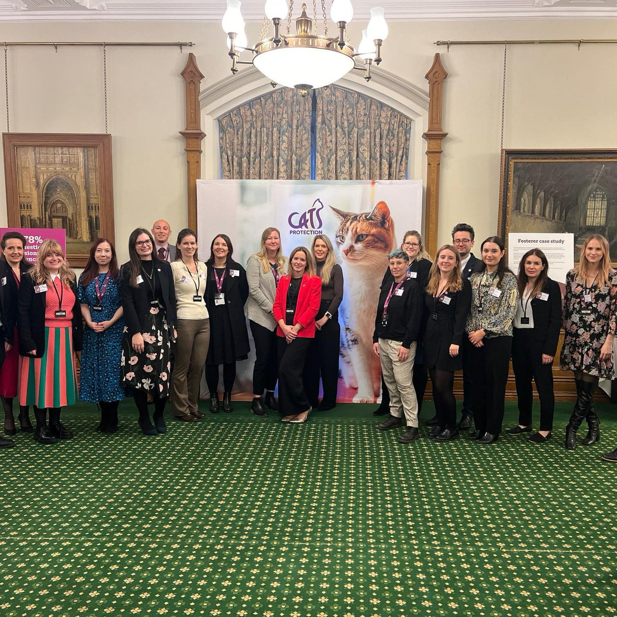 Today we are in Parliament hosting an important event to talk to MPs about our Lifeline service. Lifeline cat fostering service provides a temporary loving home for cats whose families are fleeing domestic abuse. Find out more at cats.org.uk/together 🐾