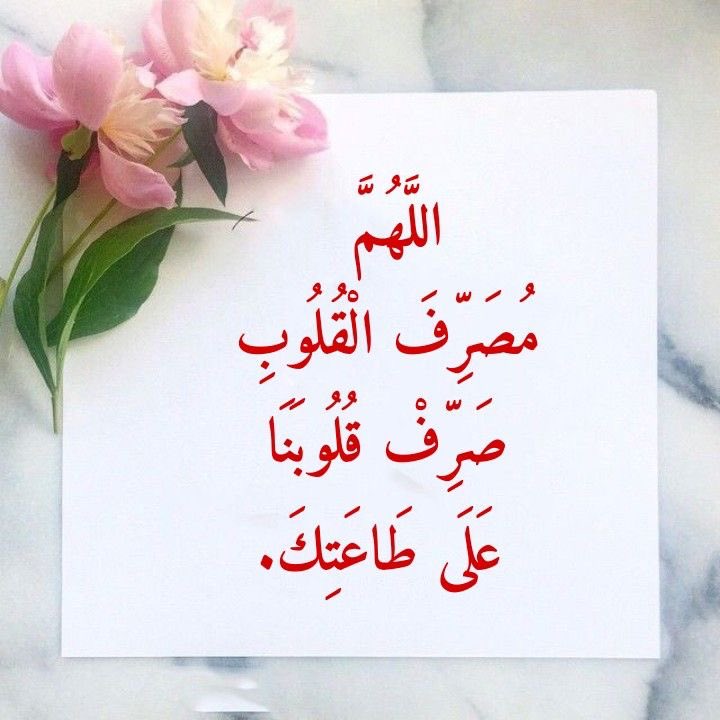 AMAY_23_8's tweet photo. اللهمّ دبِّر ما نجهله، ويسّر ما نأمله، وقرّب ما نرقبه، وهب لنا نورًا يملؤنا، وتولنا اللهمّ فيمن توليت 🍃

. https://t.co/RoHesHkRJn