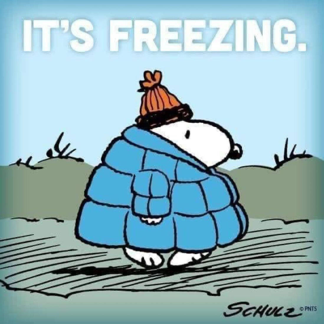 Peanuts_4Fans's tweet photo. It’s freezing 🥶 #Peanuts https://t.co/zHGDTmyUrs