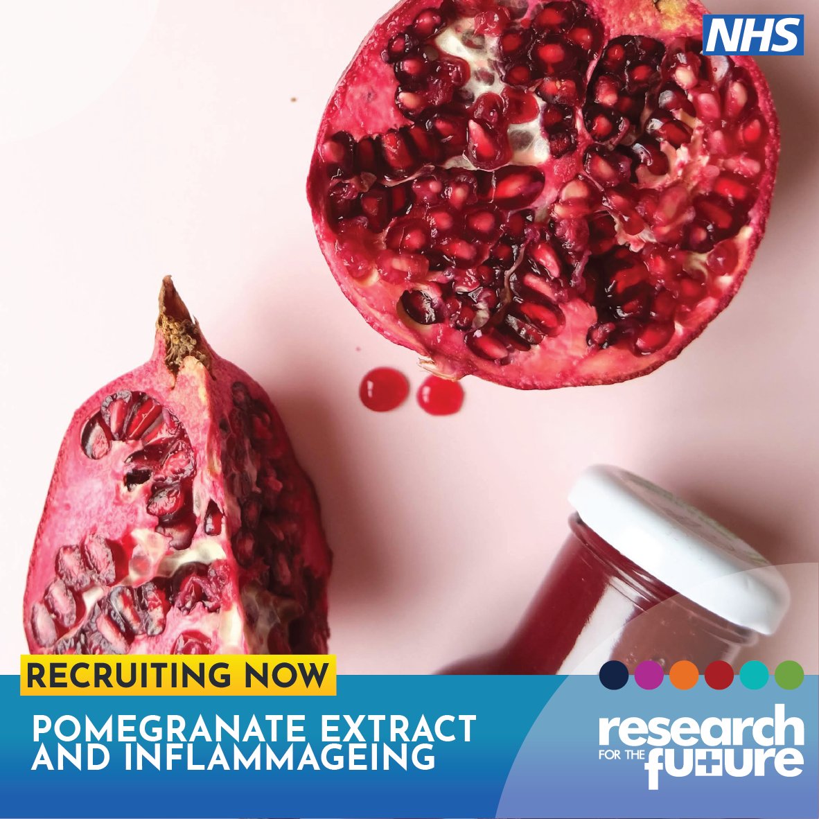 🟡 Recruiting now – Pomegranate extract and inflammageing Healthy volunteers to help measure the effects of pomegranate extract supplements on blood pressure, cholesterol, & inflammation, as well as muscle & brain function. Message us or visit our website researchforthefuture.org/studies/pomegr…