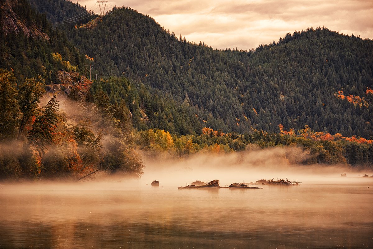 Sam_Alexandra23's tweet photo. Hi Gang! Today's challenge is #NearAndFar - a capture taken from a distance and close up. Have a safe and peaceful day out there! #Photography #Landscape #Fog #Mist #LowClouds #water #mountains #trees https://t.co/aHxGscH9jP