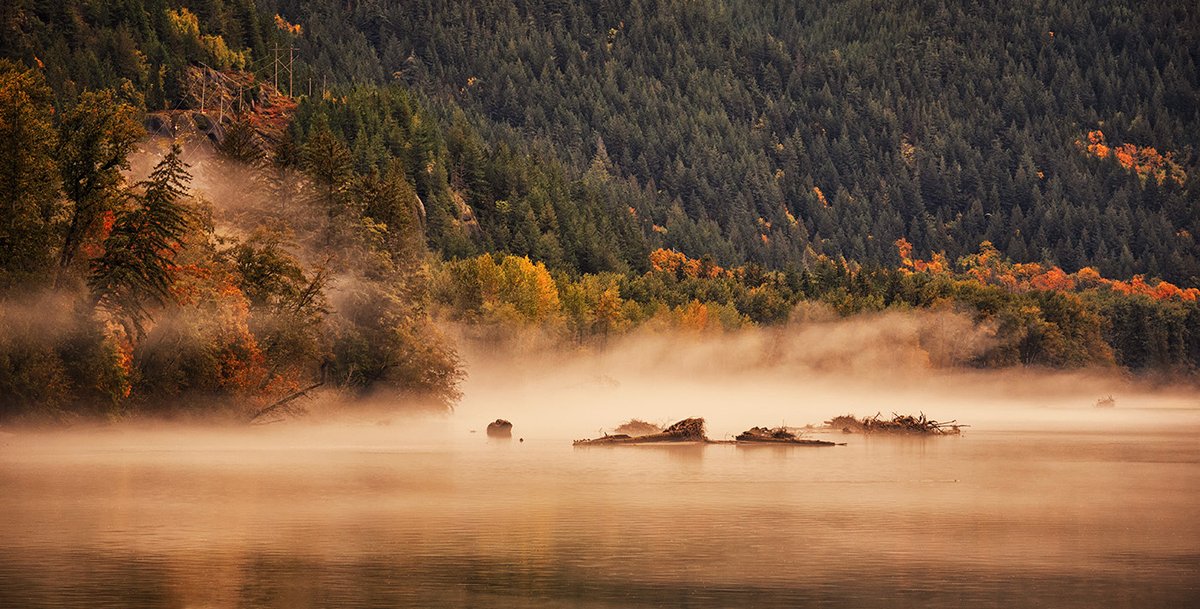 Sam_Alexandra23's tweet photo. Hi Gang! Today's challenge is #NearAndFar - a capture taken from a distance and close up. Have a safe and peaceful day out there! #Photography #Landscape #Fog #Mist #LowClouds #water #mountains #trees https://t.co/aHxGscH9jP