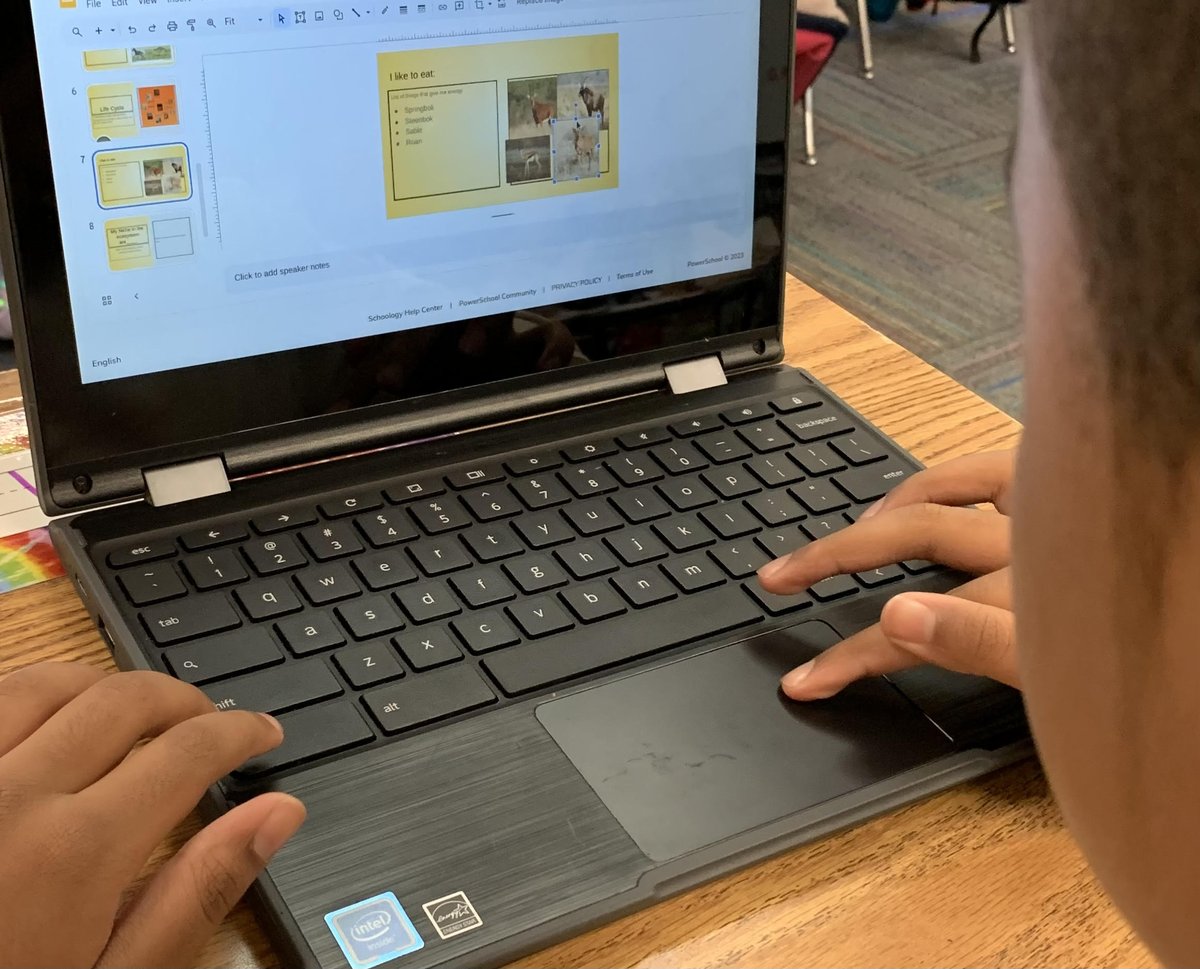 Ss are showing what they have learned in Ms. Ali's science class as they put finishing touches on their  Google Slides Animal Projects.  Impressive animal resumes! <a href="/jennthomas75/">Jennifer Thomas</a> <a href="/PortsVASchools/">Portsmouth Schools</a> #PPSshines #ppstrt   <a href="/ebracyPPS/">Dr. Elie Bracy III</a>  <a href="/PPS_CPI/">Churchland Primary & Intermediate School</a>