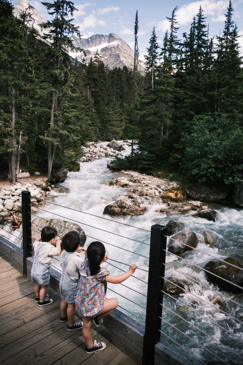 Carmen Parra-Fariñas tweet media