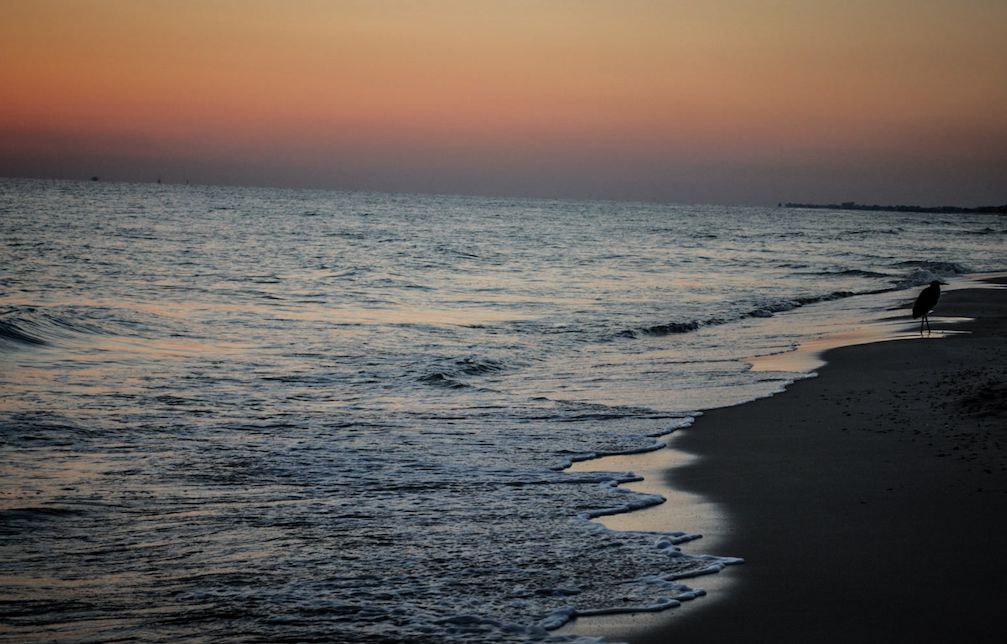 ABritSoutherner's tweet image. Gulf Coast Getaway – How to Enjoy an Eco-Friendly Visit. Being green ♻️and trying to leave only footprints at the beach! Special thanks to @wildheartedblog for collaborating with us! #ALBeachBlogger bit.ly/3RfG9vp

@VisitALBeaches
@GulfStatePark
@HiltonHotels