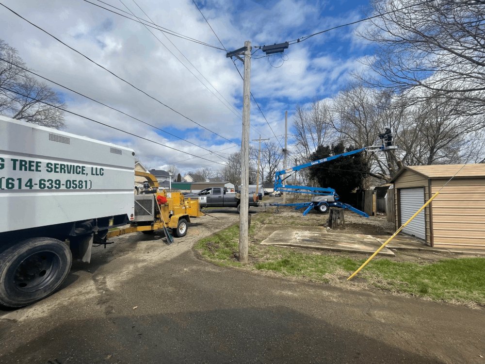 G2GTreeService's tweet image. With a wide range of skills, our experienced team can tackle any tree takedown project - no matter how big or small. Learn more about our services by visiting our website today.

#TreeTakedown #G2GTreeServiceLLC bit.ly/3L5XZQg