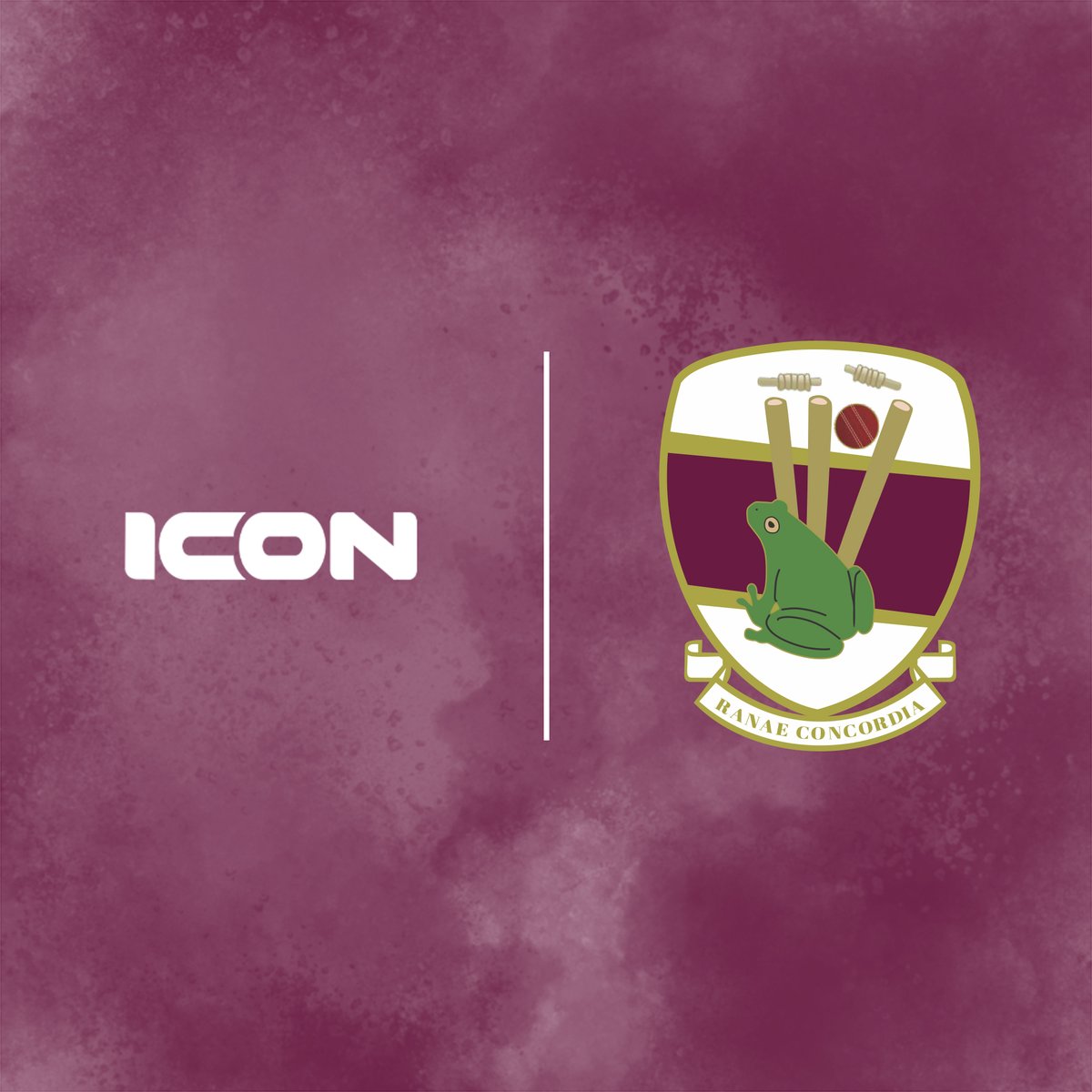 iconsportsuk's tweet photo. Welcome on board @BIACCfrog 🏏

The Frog has become a new ICON Sports Partner Club 🤝

#iconsports #iconsportsuk #partnerclub #cricket https://t.co/gjmoMB1f2w