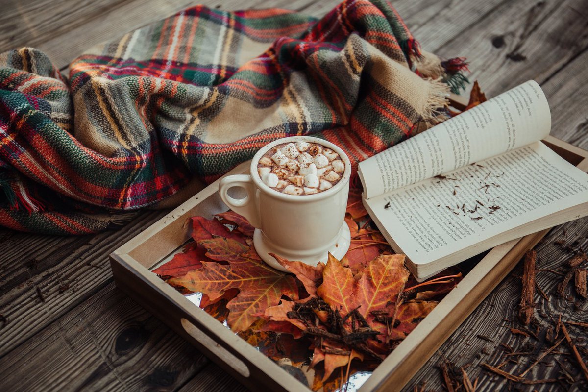Corporate content for the cosy season – what’s not to love?

This autumn, snuggle up with our team’s favourite branded content – from Monzo’s colourful LinkedIn channel to Ryanair’s memorable TikTok reels: bit.ly/3Rhb8ti