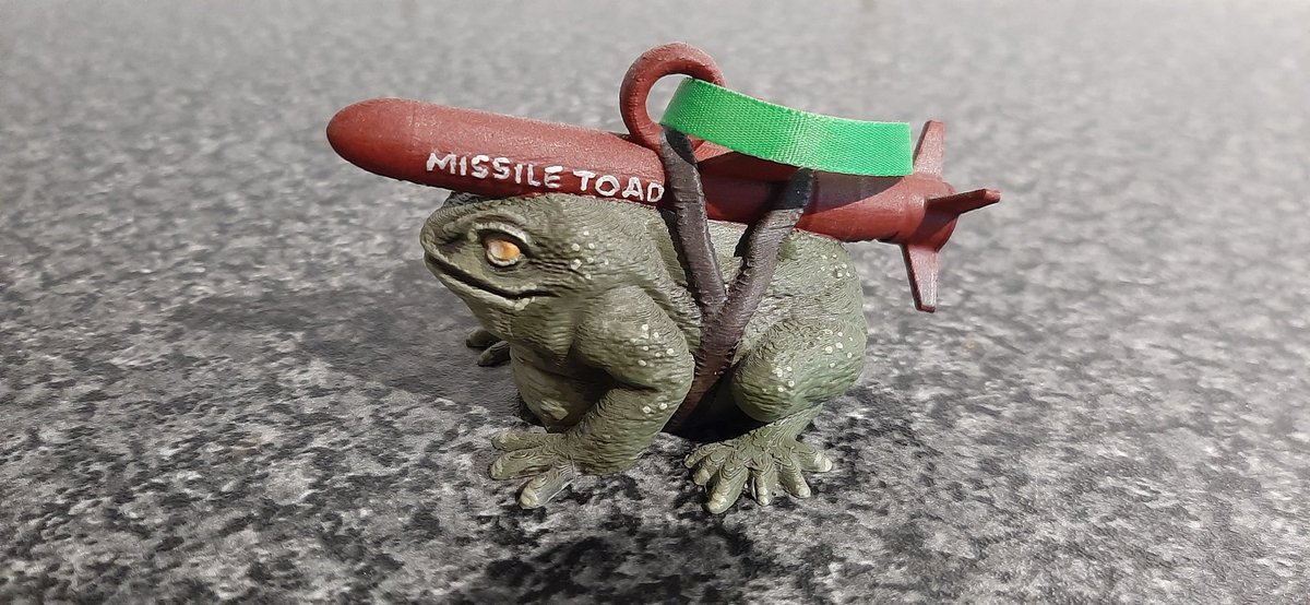 PeteJames81's tweet photo. @katshoob @pricetom on the topic of Xmas decs, I present to you the greatest tree decoration ever... The #MissileToad. Oh yes! https://t.co/O1Y8cChDCT