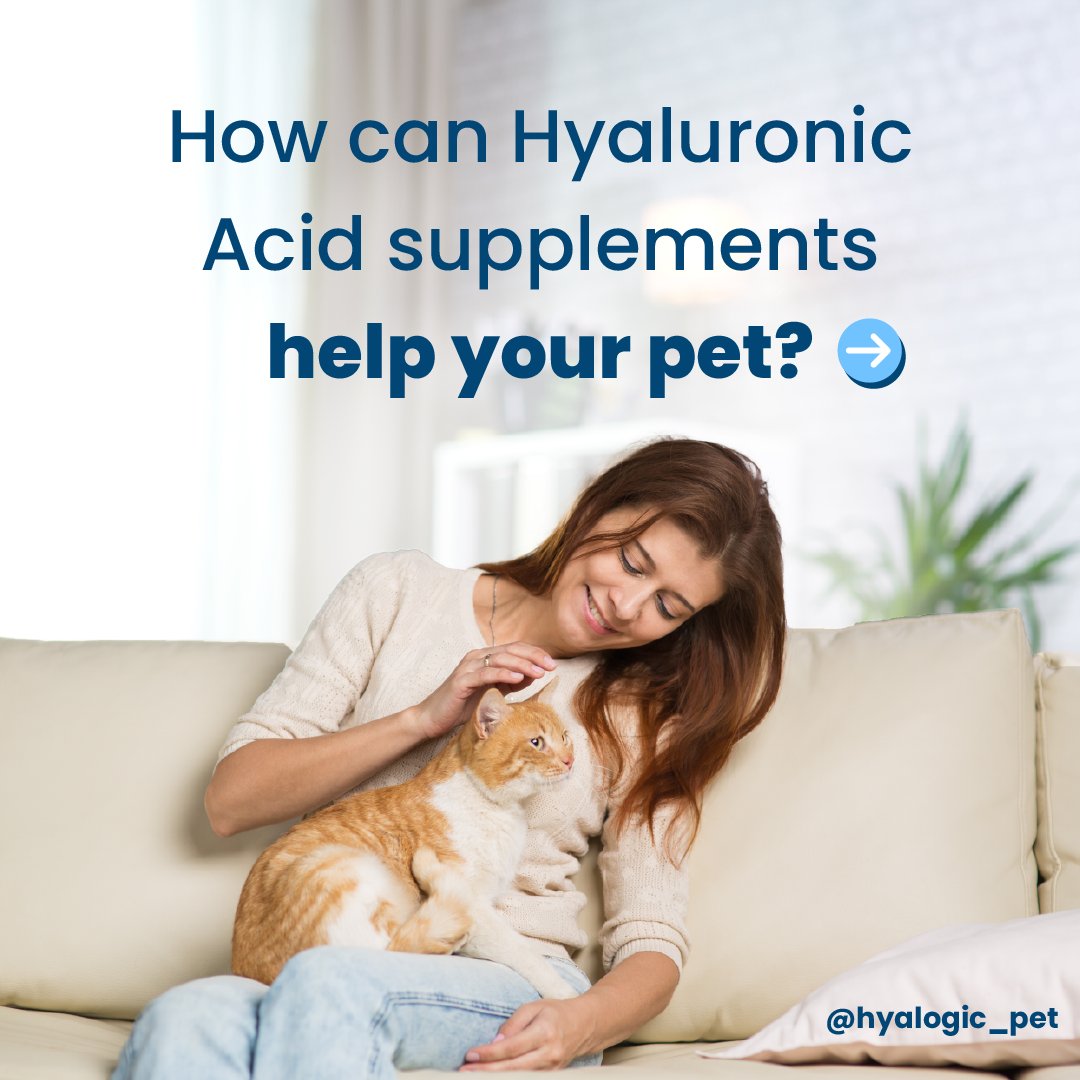 HyalogicHA's tweet photo. Cats, dogs, and horses, oh my! 🤯

(Re)Introducing the Hyalogic Animal Health line. We offer Hyaluronic Acid joint health supplements for dogs, cats, and horses, as well as a coat conditioner for your furry friend. 

Shop our NEW website at https://t.co/HiiHr9H28d. https://t.co/LUeFAAE2si