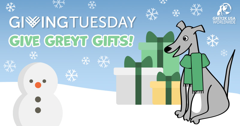 GREY2KUSA's tweet photo. Have some fun and help greyhounds at the same time. See our #GivingTuesday Gifts Galore! 🐾 https://t.co/CpVs3h7Leo https://t.co/cD19kRxida