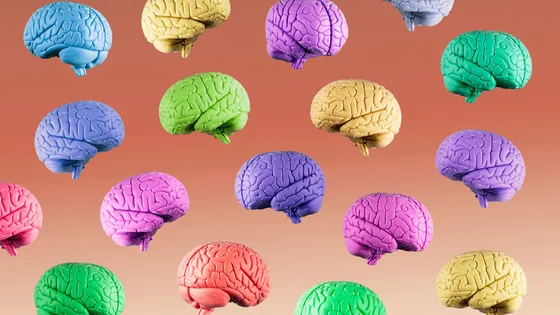 ScienceCQFD's tweet photo. [#Podcast] #HumanBrainProject : la fuite du cerveau https://t.co/82u4PS1ayZ à (ré)écouter via @franceculture ! #ScienceCQFD https://t.co/q5aiPdGPSC