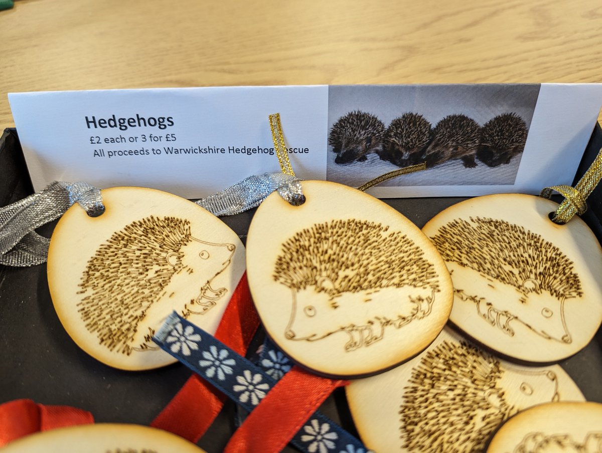 APF_Aston's tweet photo. Every sale of these adorable hedgehogs will contribute towards the care and rehabilitation of numerous sick hedgehogs by the Warwickshire Hedgehog Rescue volunteers.
See more at @AstonUniversity Christmas Market 

#christmasincathedralsquare @AstonEPS https://t.co/luA8AHAcmR