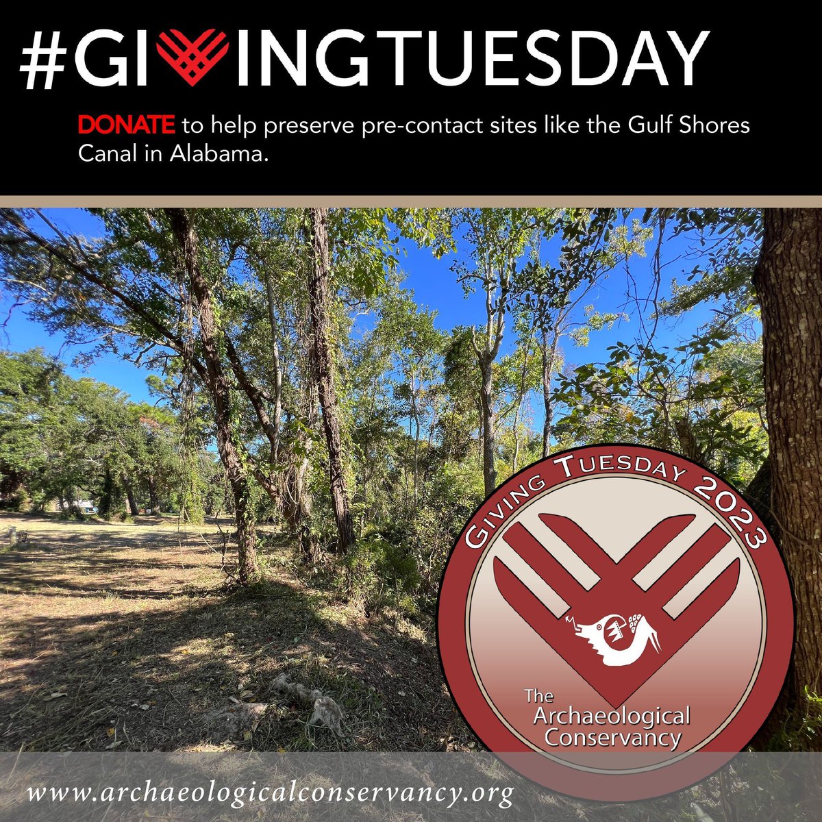 The Archaeological Conservancy tweet media