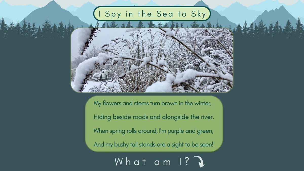 Sea To Sky Invasives tweet media