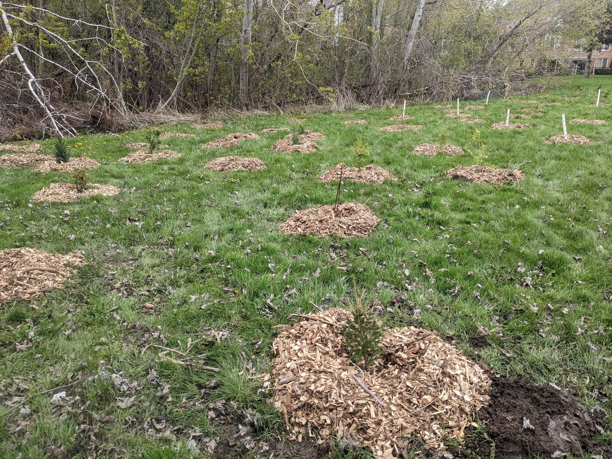 Ontario Streams tweet media