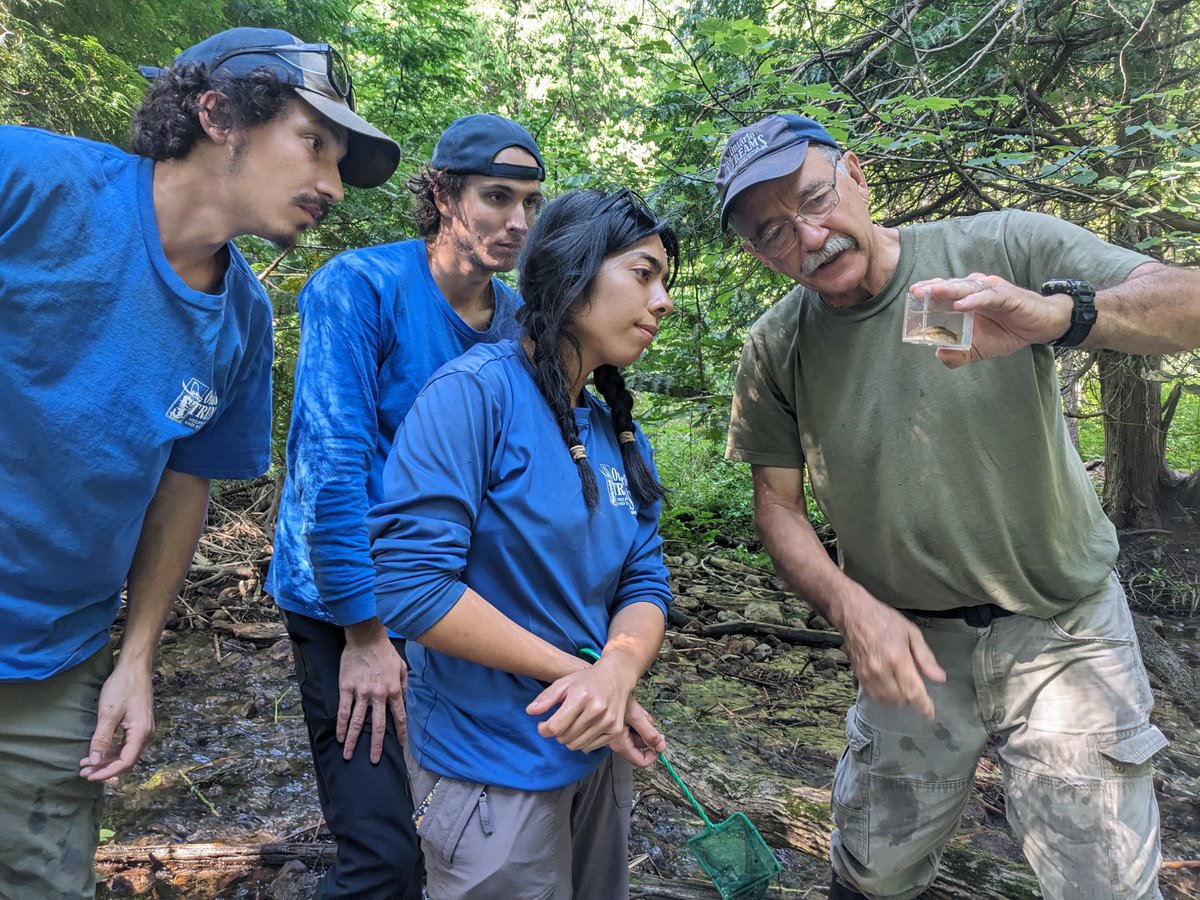 Ontario Streams tweet media