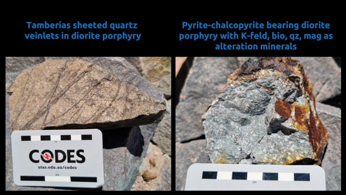 Tamberías is a high-level, drill ready porphyry Cu-Au target. Check out some of the samples below from recent work on the target.

$SEND.V #juniormining #exploration #gold #copper