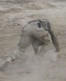 OFSPADES__'s tweet image. starts crawling away