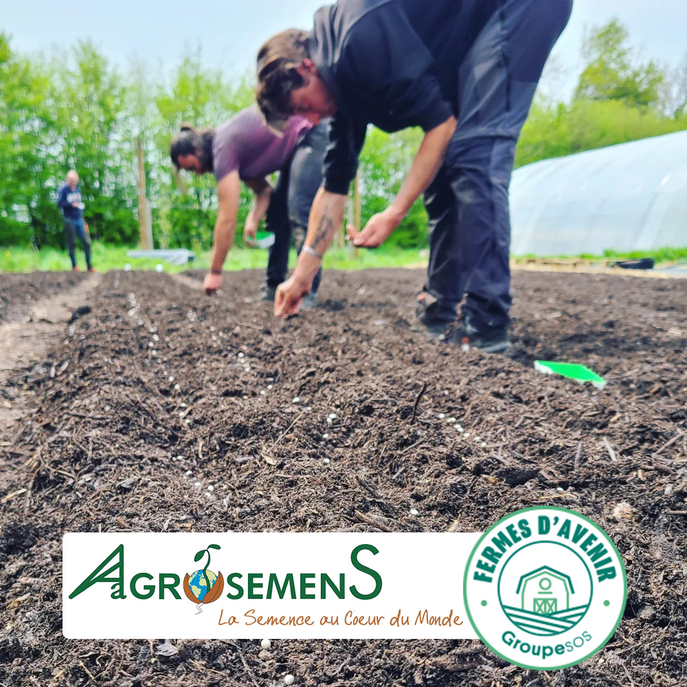 AGROSEMENS tweet media