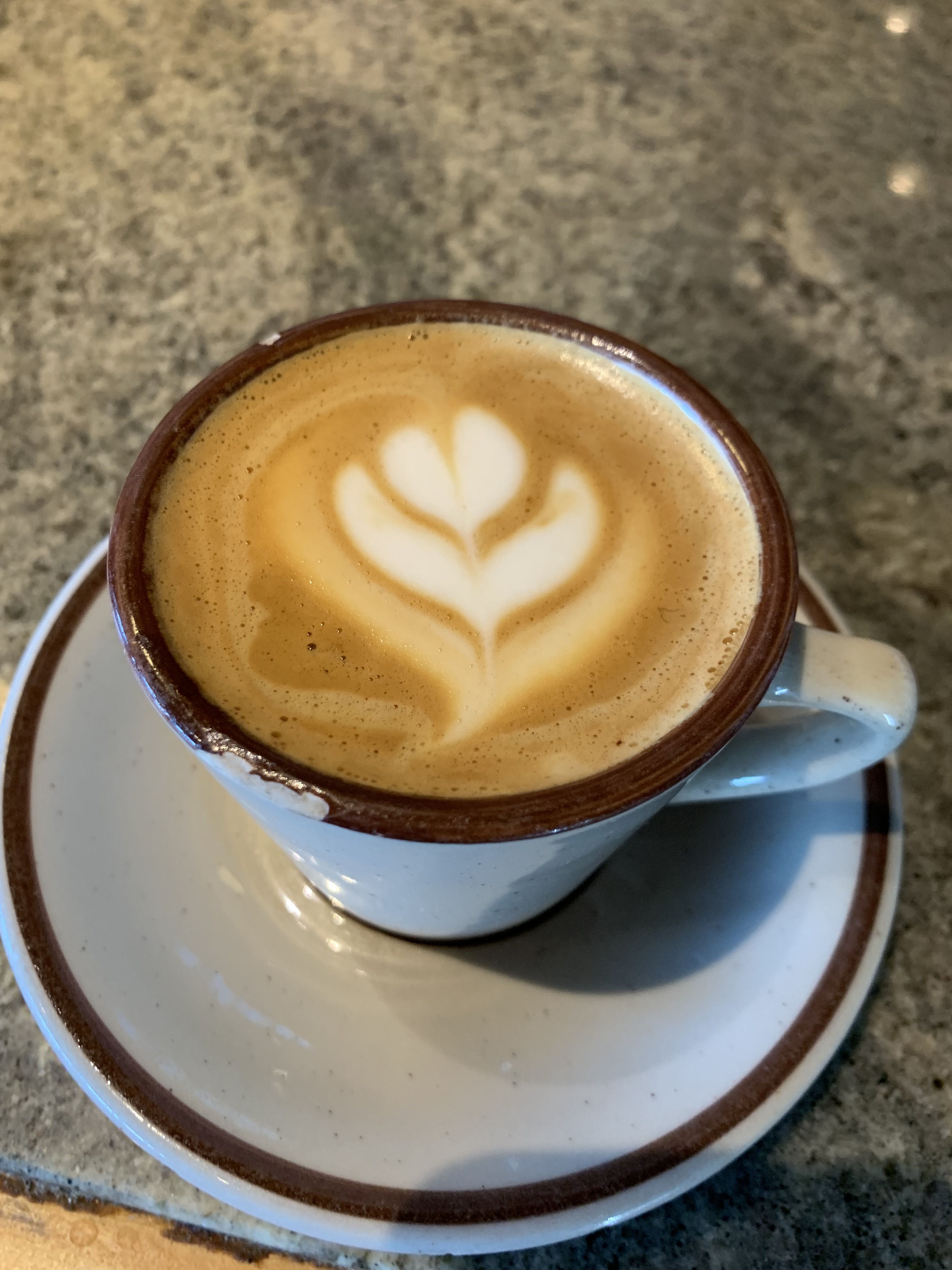 The 4 Best Cappuccino Cups for Latte Art