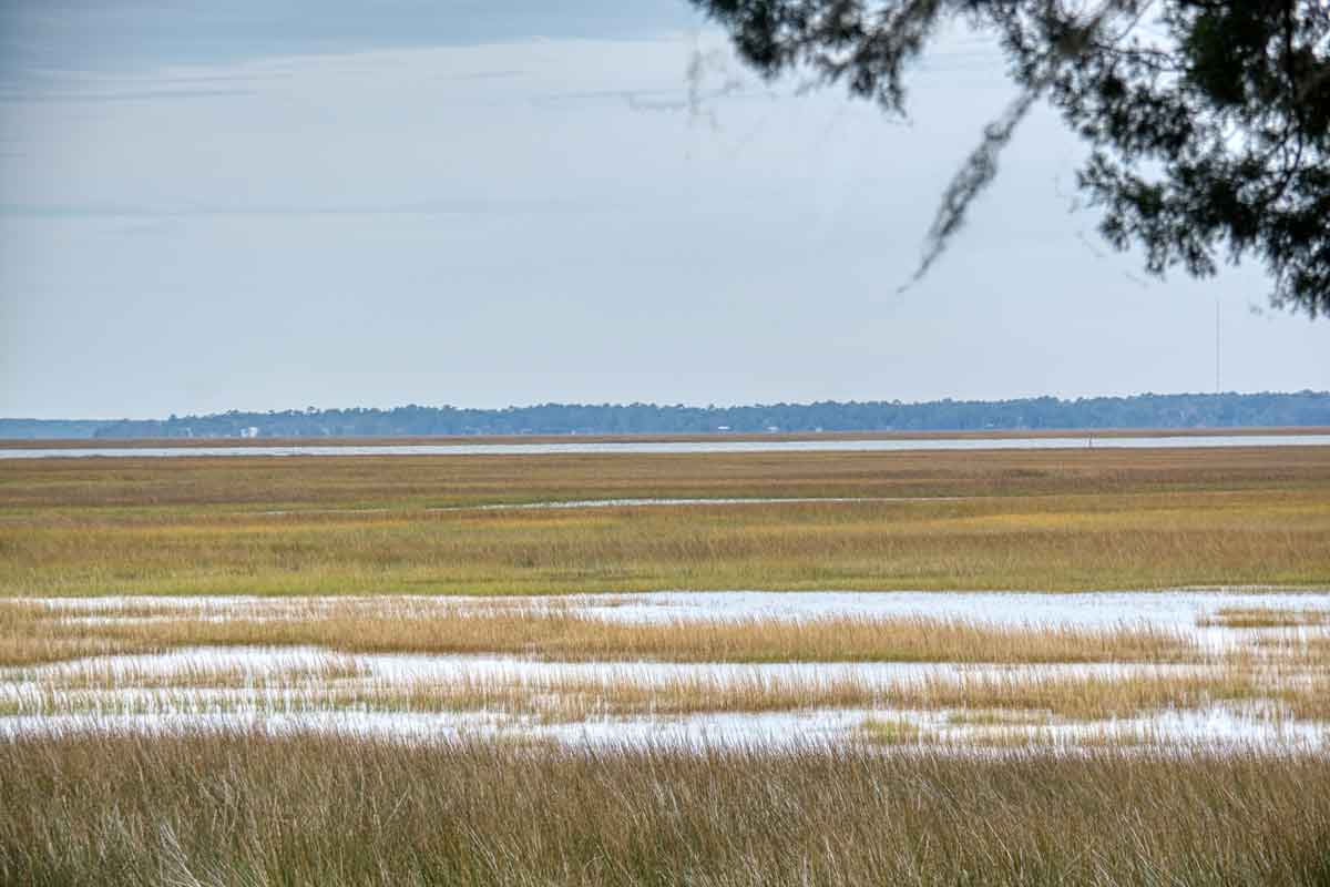 javajoba's tweet image. Looking for the perfect sunset shot.
The Marsh at High Tide