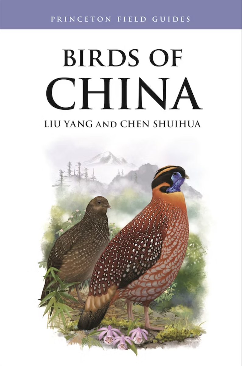 Available in UK on 12 December and in the US on 16 January, the new BIRDS OF CHINA by <a href="/PrincetonUPress/">Princeton University Press</a>  This is an English translation of the excellent China National Geographic field guide, updated and revised. See: press.princeton.edu/books/paperbac…
