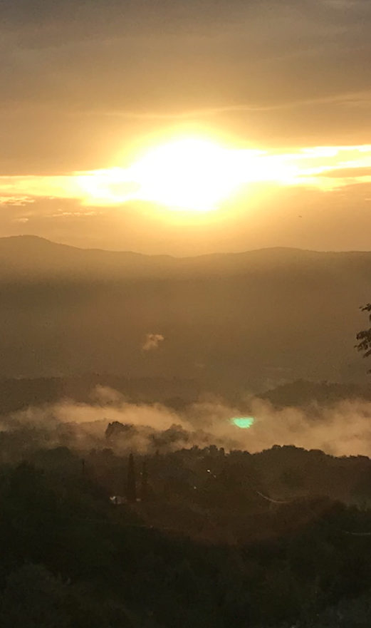 Susan Bögels tweet media