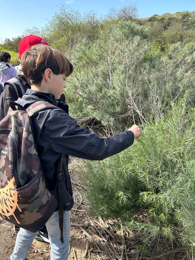 Our work was always about turning Crystal Cove into an outdoor classroom.

This #GivingTuesday we hope you'll help expand our education program offerings, so we can empower students to become future environmental stewards!

Give a gift today by visiting CrystalCove.org/Support.