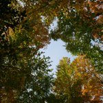 Photo by IRN Forêts froides (@Cold_Forests)
