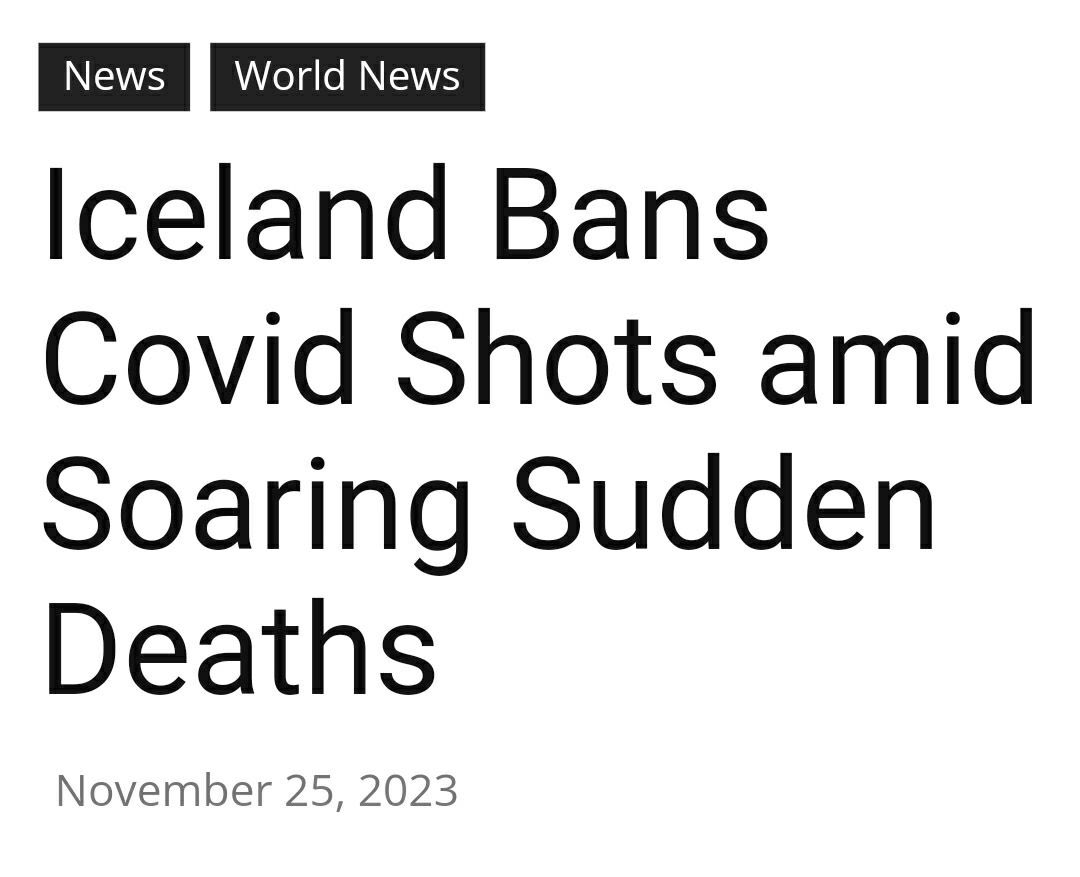 Kevin - WE THE PEOPLE🦁 tweet media