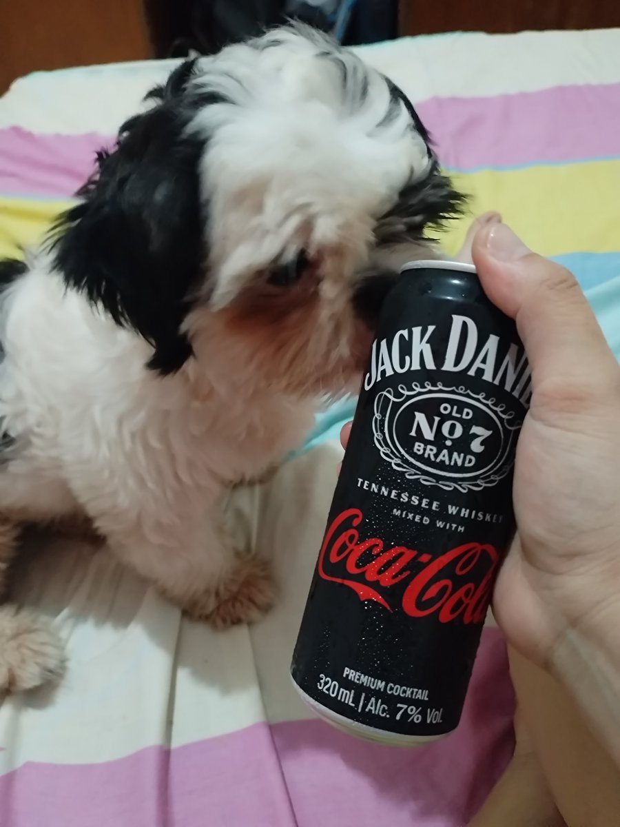 shot puno! 😂