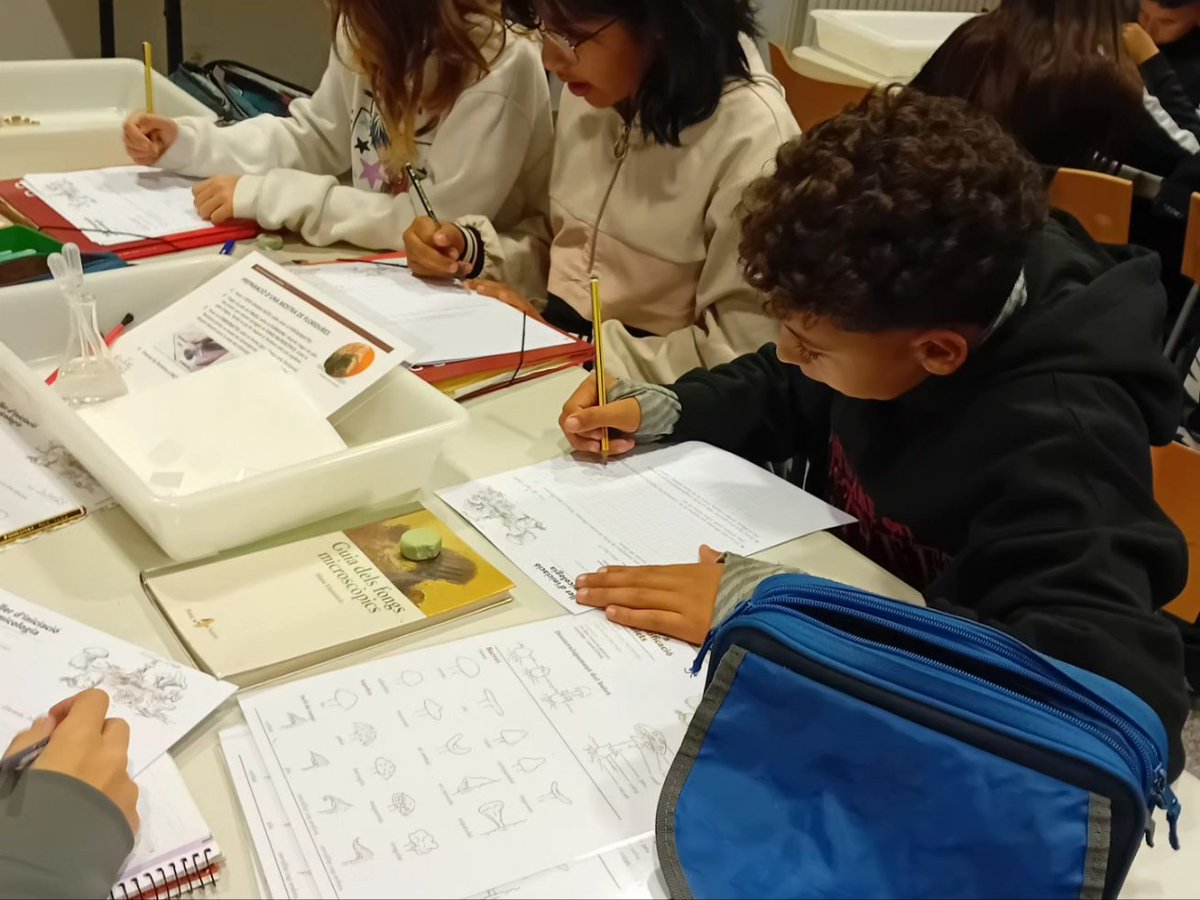 InsThos's tweet photo. 🍄 Els nostres estudiants de #1ESO han fet una sortida a @CanBoet per explorar el món dels #fongs
👩🔬 Han après a identificar més de 100 espècies de bolets diferents #ciència @culturamataro @matarocat #TotesSomThos #BioGeo #Bolets https://t.co/m2sAIDsqQQ