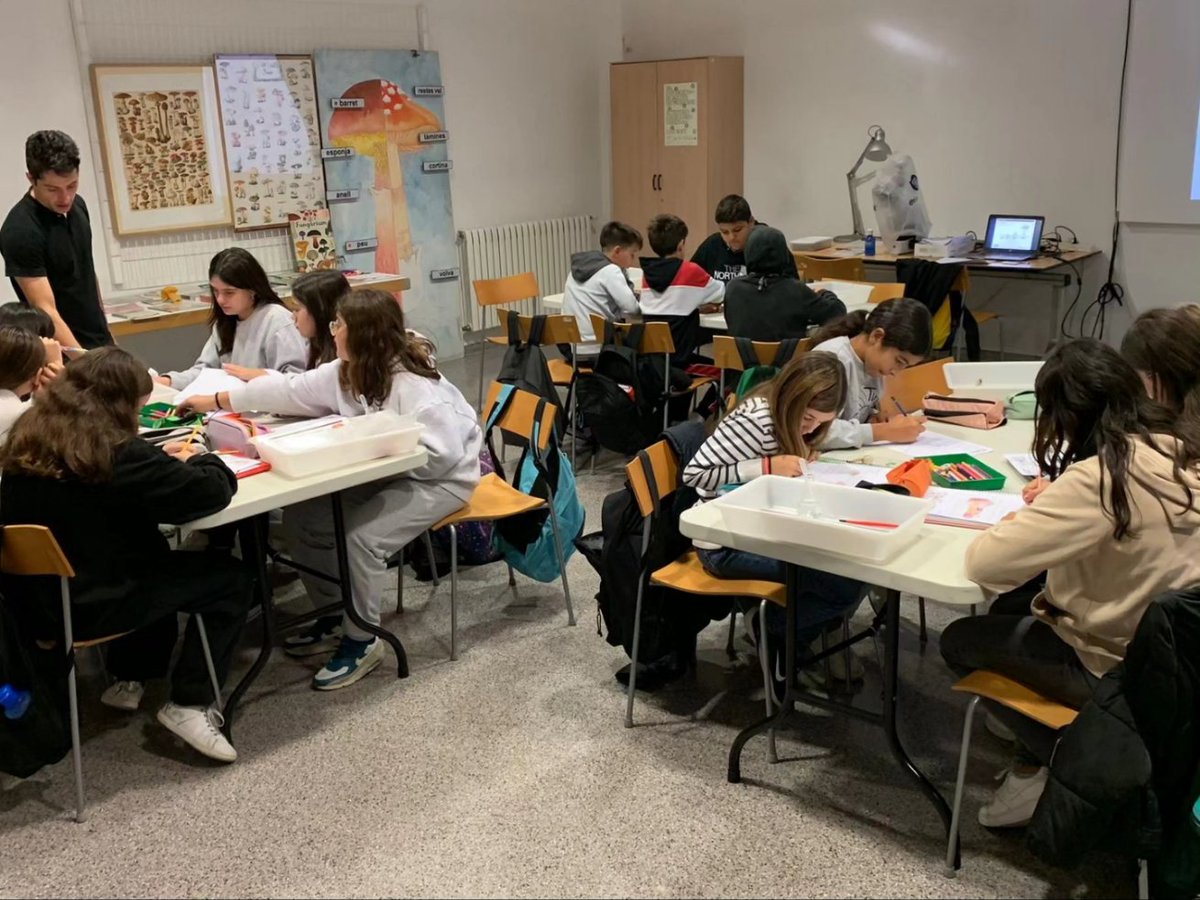 InsThos's tweet photo. 🍄 Els nostres estudiants de #1ESO han fet una sortida a @CanBoet per explorar el món dels #fongs
👩🔬 Han après a identificar més de 100 espècies de bolets diferents #ciència @culturamataro @matarocat #TotesSomThos #BioGeo #Bolets https://t.co/m2sAIDsqQQ