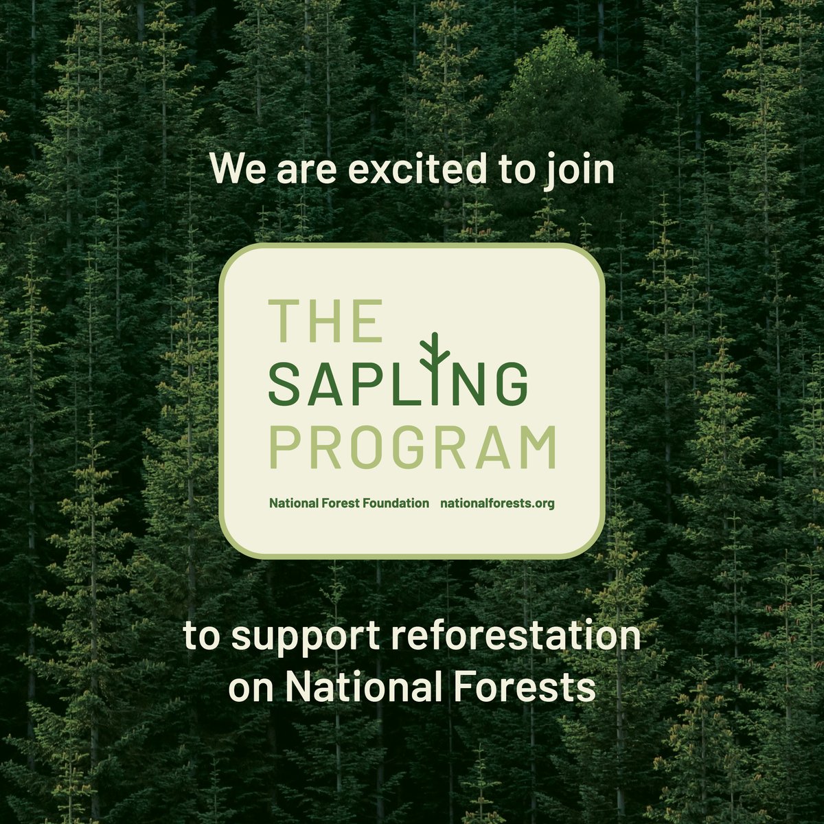 Clearlight is excited to announce a partnership with #TheNationalForest Foundation’s #Sapling Program. With every Clearlight Infrared sauna purchase, we'll donate two trees to be planted, supporting both your well-being and the environment. #GivingTuesday