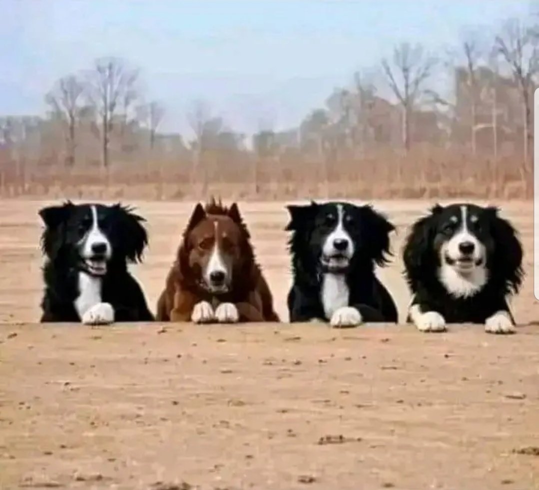 BREEZYYY J tweet media