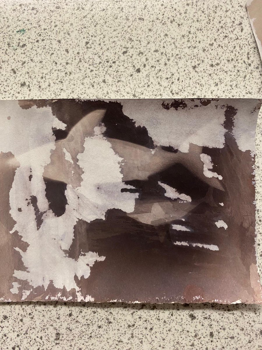 GacScienceDept's tweet photo. Science club have been using Silver Nitrate and Potassium Chloride to make these amazing photographic prints!!
#scienceclub 
@GACoventry https://t.co/iCZ6Og8s2N