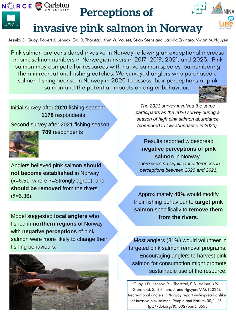 New paper alert led by Jessika Guay: angler perceptions of non-native pink salmon expanding into Norwegian rivers @CarletonScience @FisheriesRobert @EvaThorstad besjournals.onlinelibrary.wiley.com/doi/full/10.10…