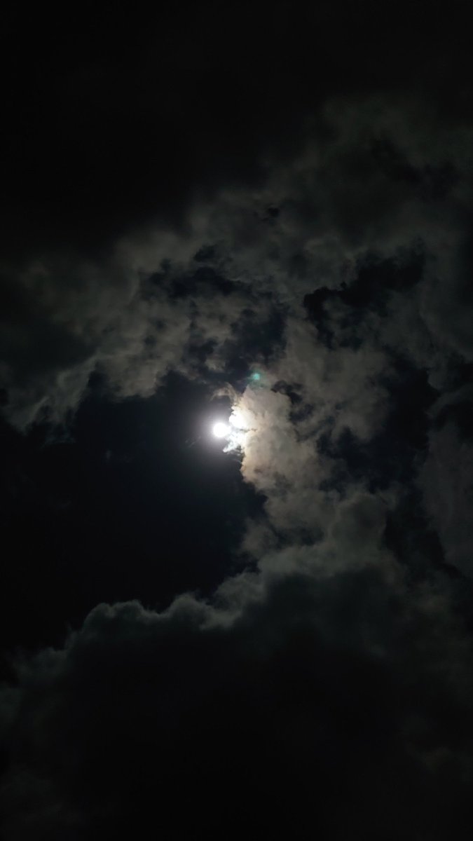 MundoBridger's tweet image. 知ることもない広い世界のはずなのに、
どこか根っこみたいな所で繋がってる #CosmicUnity