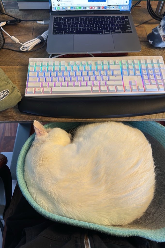 Sarah A. Downey tweet media