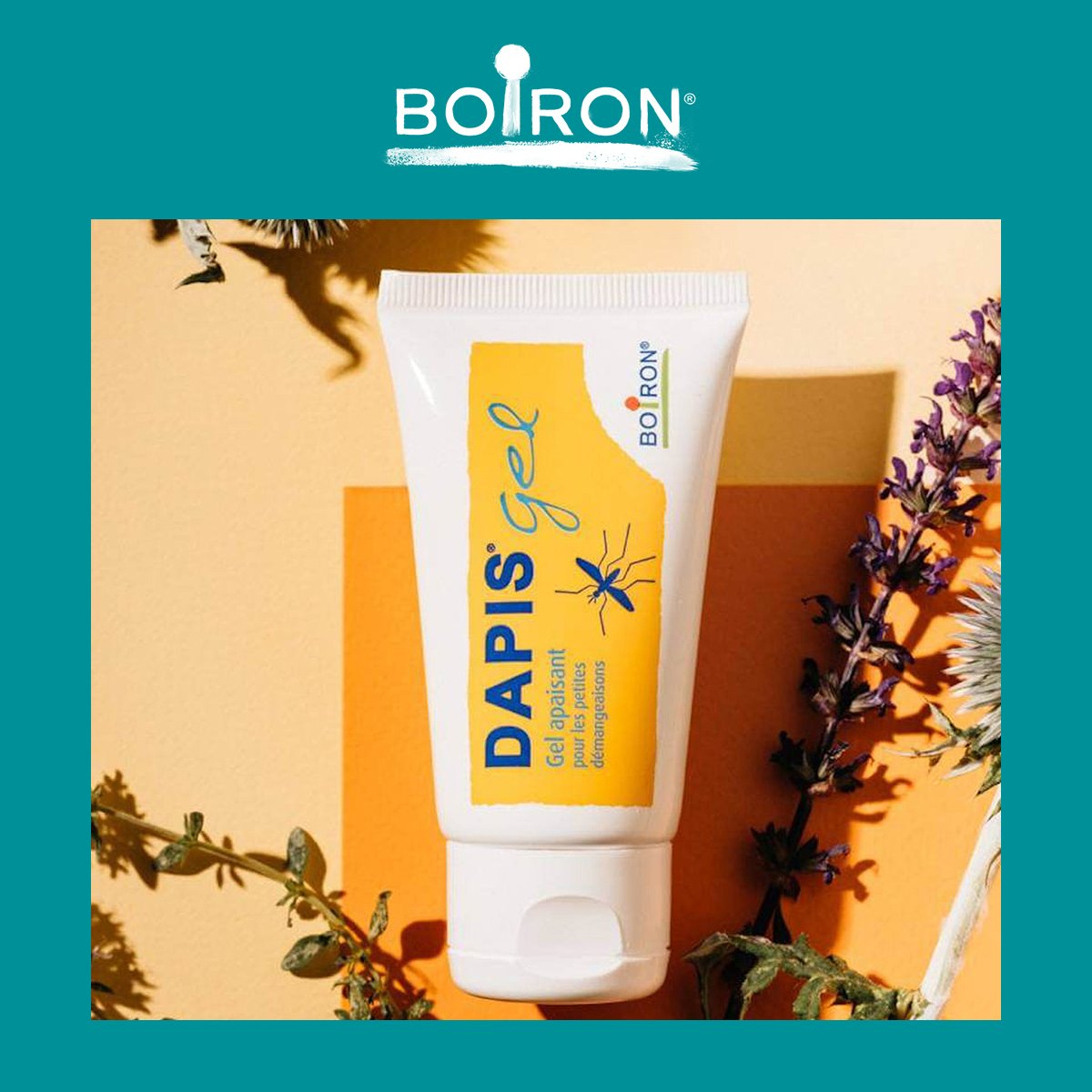 OnlySo accompagne Boiron sur #Pinterest ! Après l’élaboration d’une #stratégie de présence pour relancer leur page, la team s’occupe désormais de la #rédaction des contenus sur la #plateforme📌
🎯L’objectif : prendre soin de la #communauté et soutenir leur santé et leur bien-être