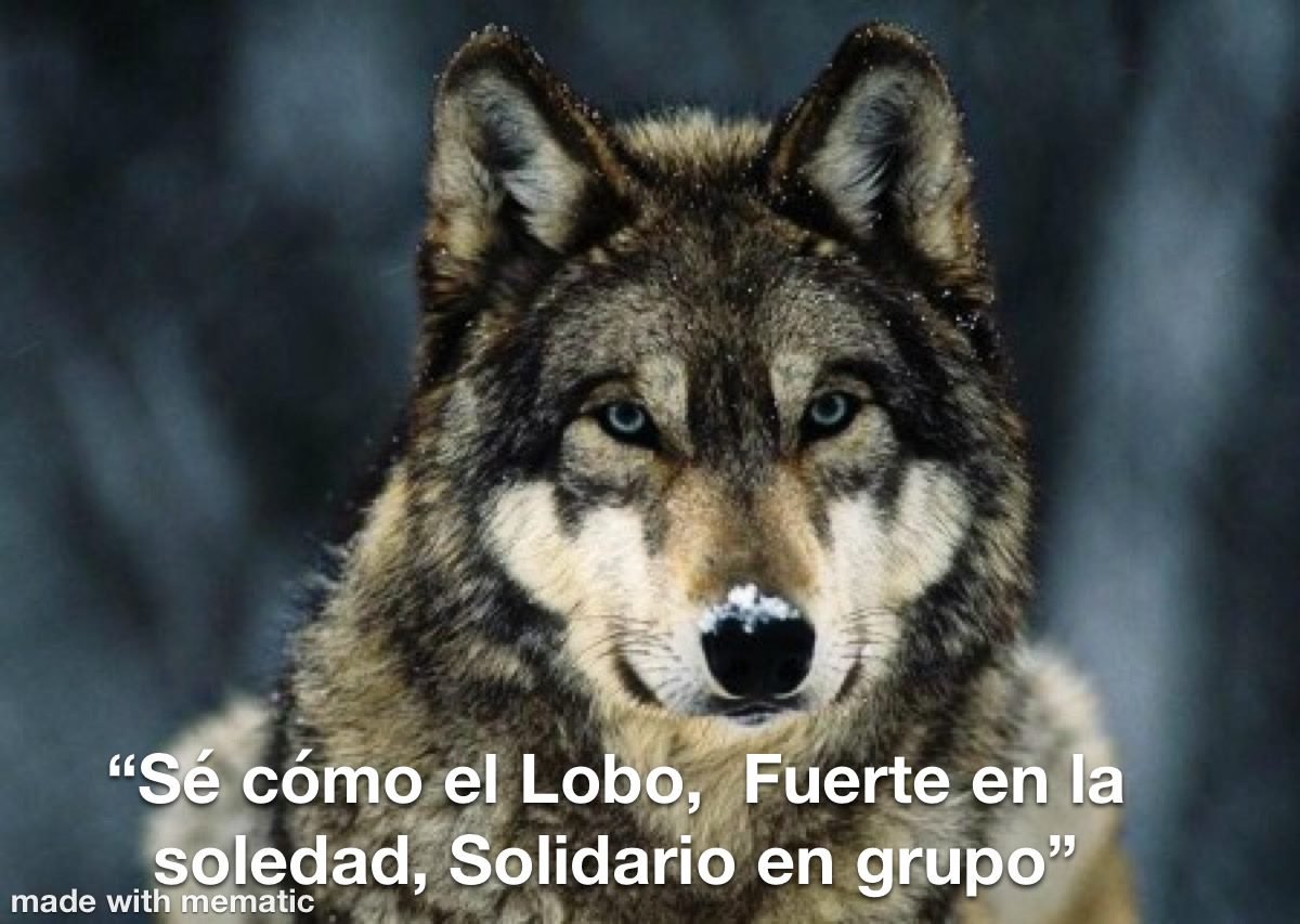 Sir Alfred Bond ♏️ 🇲🇽 tweet media