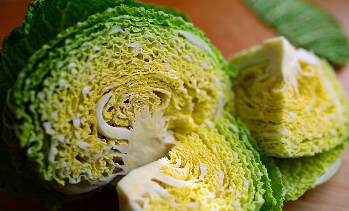 junedarville's tweet photo. What cabbage is this? https://t.co/9ma5QMvdfr