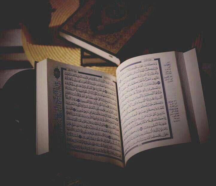 humte_20's tweet photo. *القرآن يسدّ الفراغات الخاوية في قلبك، ويجبر النقص في روحك، ويجيبك على كل الأسئلة.* https://t.co/4O34UkAseA