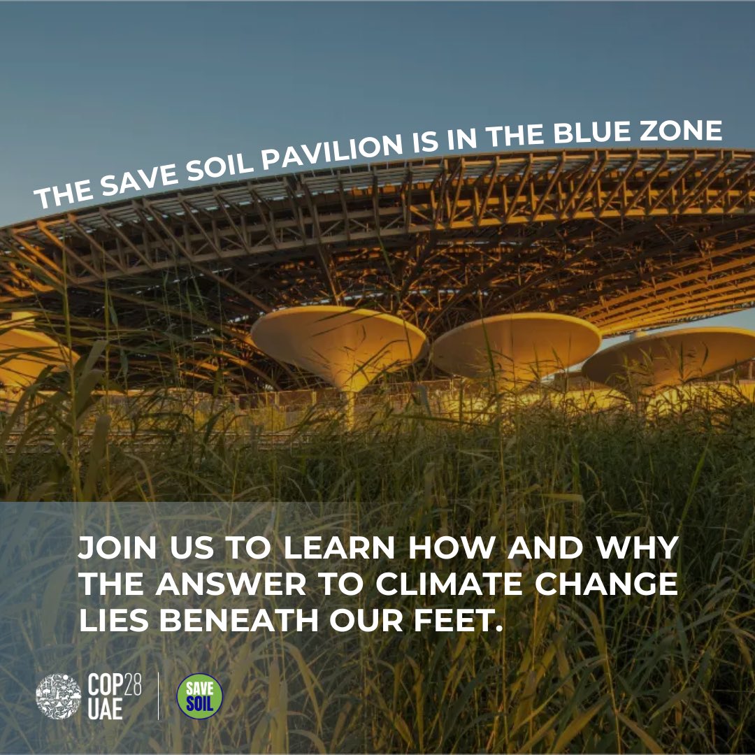 cpsavesoil's tweet photo. Excited for the #SaveSoil Movement's presence at #COP28's Blue Zone! 🌍
The Blue Zone is where negotiations & discussions happen to take action on climate change. 🌱 Soil, a crucial player in carbon sequestration & biodiversity, takes center stage here for its pivotal role in the solution.

Follow our live updates: 
https://t.co/CdNsbyeVB3 📲 🌐

#SaveSoilFixClimateChange 
#ClimateAction 🌿