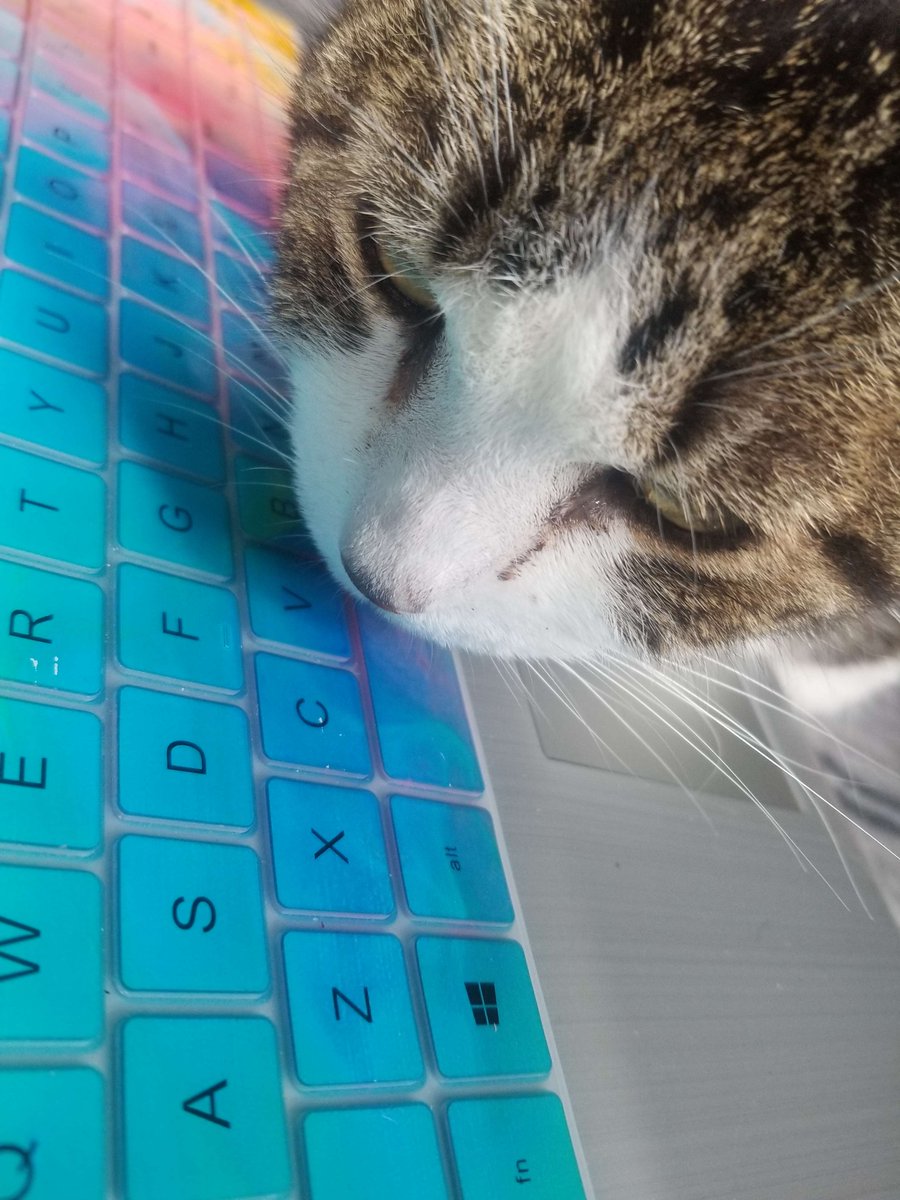 jest animating tweet media