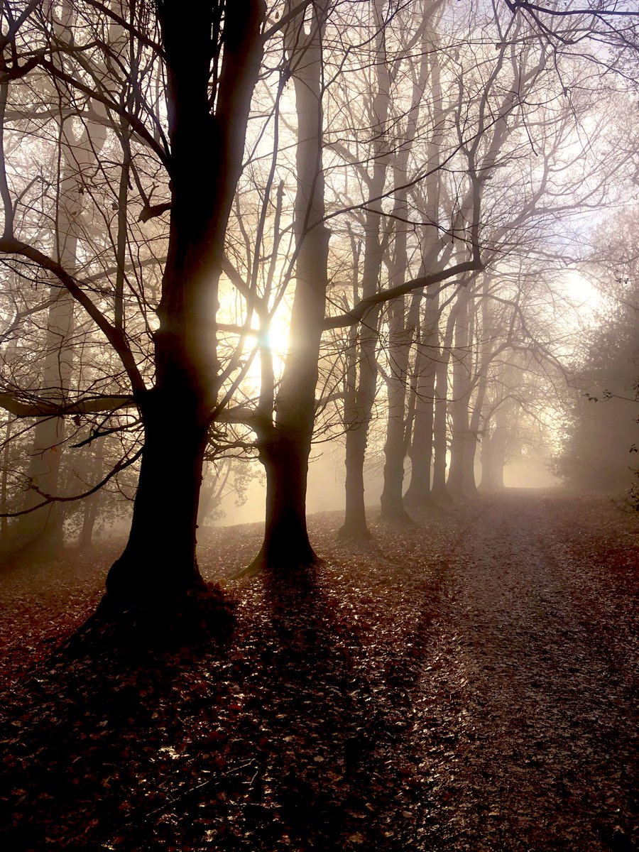 Lynn Fradders tweet media