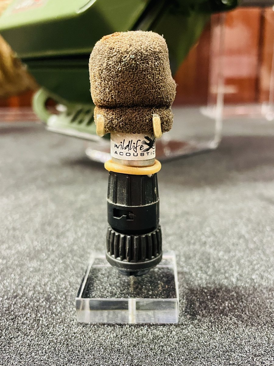 We are getting close to our reopening in early 2024! Here’s a preview of some newly mounted specimens back from the workshop including possibly the world’s most adorable bio-acoustics microphone mount! ❤️🐸